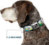 Buckle-Down Hippo Cartoon Dog Collar, Multicolor, 1.5" Wide, Fits 16-23" Neck, Medium