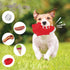 Molly & Mo Squeaky Dog Chew Toys, Assorted Sizes Hot Dog, Steak, Ice Cream Shapes for Different Breeds (Hot Dog)
