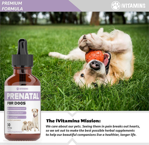 Dog Prenatal Vitamins, Includes Vitamin B Complex & C, Whelping Supplies, 1 Pack: 30 Servings