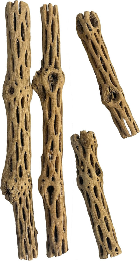 Awesome Aquatic Natural Cholla Choya Wood Combo, 4 Pieces 2-12" & 2-6” Habitat for Shrimp, Crabs, Reptiles, Aquarium