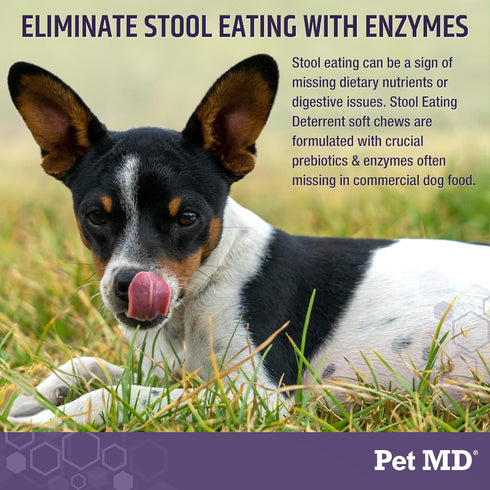 Pet MD Stool Eating Deterrent - 60 ct Chews to Prevent Dog from Eating Poop - Coprophagia Aversion with Enzymes, Herbs