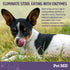 Pet MD Stool Eating Deterrent - 60 ct Chews to Prevent Dog from Eating Poop - Coprophagia Aversion with Enzymes, Herbs