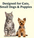 2 2-Pack, Jasper Microbrush Vet Approved Cat Toothbrush, Soft-Bristled Toothbrush Kit for Felines & Small Dogs