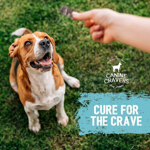 Canine Cravers Single Ingredient Dog Treats, Healthy and Nutritious Human Grade Air Dried Hypoallergenic Pet Food,