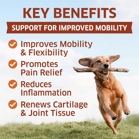3 120 Hemp Hip and Joint Supplement for Dogs - Glucosamine for Dogs - Glucosamine Chondroitin for Dogs with MSM, Hemp