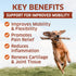3 120 Hemp Hip and Joint Supplement for Dogs - Glucosamine for Dogs - Glucosamine Chondroitin for Dogs with MSM, Hemp