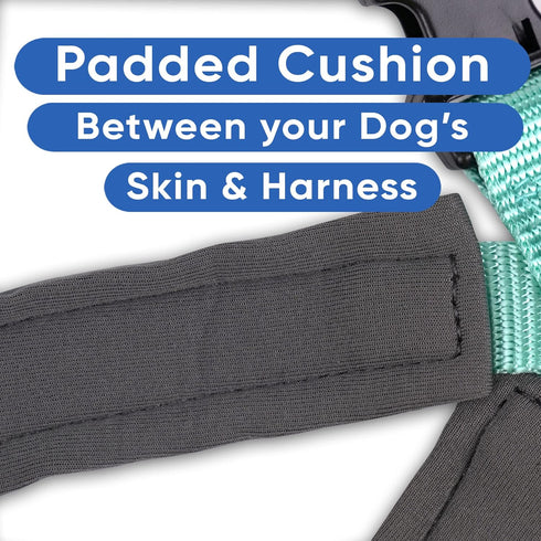 Pawtitas Reflective Dog Harness, Padded Dog Vest for Comfort Control, Great for Walking or Running, Small Teal