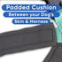 Pawtitas Reflective Dog Harness, Padded Dog Vest for Comfort Control, Great for Walking or Running, Small Teal