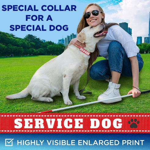 TECEUM Reflective Pet Collar – Red - Service Dog – XS – Extra Soft Padding – Basic Nylon Dog Collar – Quick Release Buckle – Fits Small, Medium and Large Dogs, Puppies, Cats