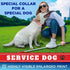 TECEUM Reflective Pet Collar – Red - Service Dog – XS – Extra Soft Padding – Basic Nylon Dog Collar – Quick Release Buckle – Fits Small, Medium and Large Dogs, Puppies, Cats