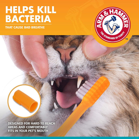 Hammer 3 Set Flavor,2.5 Arm & for Pets Dental Kit for Cats | Eliminates Bad Breath | Piece Includes Cat Toothpaste, Cat