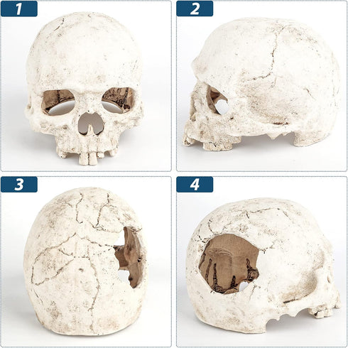 Uniclife Aquarium Skull Reptile House Decor, Resin Head Skeleton Ornament for Tank Landscape