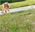 Tie Out Rope Dog Leash, Heavy Duty Nylon Check Cord for Medium Large Dogs, 8-50FT Indoor/Outdoor Playing (Black, 3/8" x