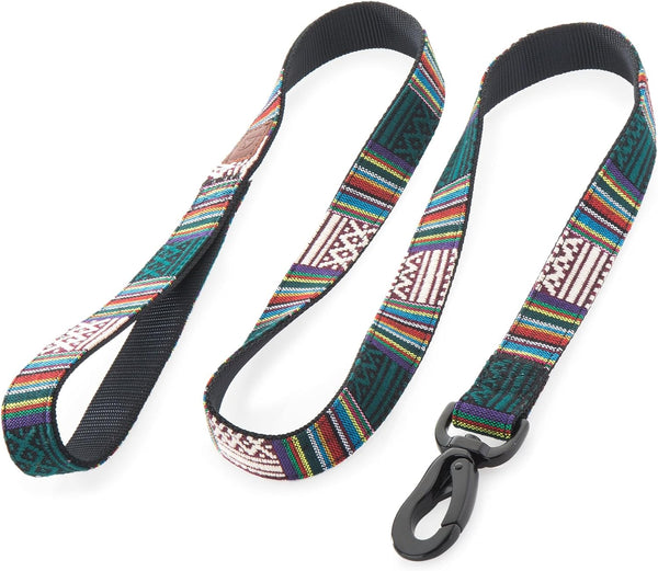 Embark Urban Dog Leashes, Colorful Strong Nylon for Small Medium Large Dogs, Heavy Duty (Mayan, 4 Ft)