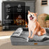 Spotted Play Orthopedic Dog Bed with Sides - Dog Sofa Beds for Large Dogs, Supportive Foam Pet Couch Bed with Washable