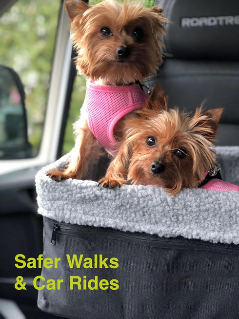 Soft No Pull Step-in Dog Harness, Small Dog XXS XS Vest for Teacup, Chihuahua, Yorkie, Pomeranian, Red Mesh