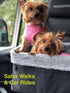 Soft No Pull Step-in Dog Harness, Small Dog XXS XS Vest for Teacup, Chihuahua, Yorkie, Pomeranian, Red Mesh