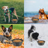 Collapsible Dog Bowls - 2-Pack Foldable Expandable Cup Dish for Pet Cat Hiking Food & Water Feeding