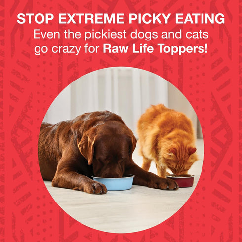 KOHA Raw Life Freeze-Dried Raw Topper, Beef for Dogs and Cats, High Protein Meal Topper, 8oz Bag
