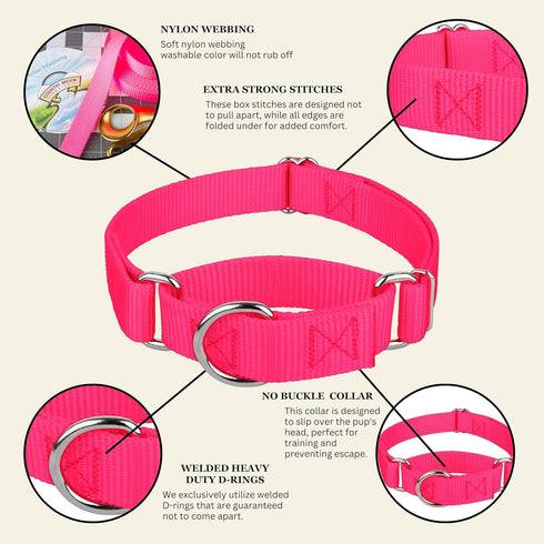Country Brook Petz Martingale Dog Collar, Heavy-Duty Training Collar, Hot Pink, 3/4 Inch, Small, No Buckle