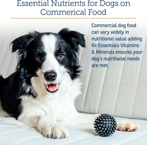 8 oz Rx Vitamins Essentials for Dogs - Daily Vitamins & Minerals - with Blue Spirulina, Kelp Powder, and Milk Thistle