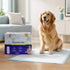 23 23 Dog Training Pads x Leak-Proof, Super Absorbent Puppy Pads with Adhesive Tabs, Odor Control, Disposable Potty