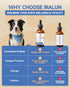 18-in-1 immune 60mL Organic Mushroom Supplement for Dogs - blend with Turkey Tail, Reishi, Lion's Mane. Supports