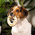Pet Factory American Beefhide 3-4" Donuts Dog Chew Treats - Natural Flavor, 8 Count