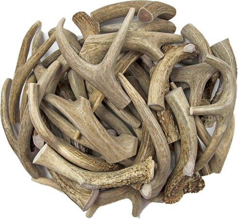 Premium Deer Antler Pieces - Dog Chews, Sold by The Pound