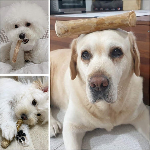 WoofWood Dog Chew Sticks