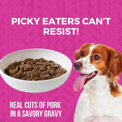 12.7oz 12) KOHA Minimal Ingredient Pork Stew for Dogs, High Protein Limited Ingredient Dog Food, Cans (Case