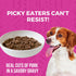 12.7oz 12) KOHA Minimal Ingredient Pork Stew for Dogs, High Protein Limited Ingredient Dog Food, Cans (Case