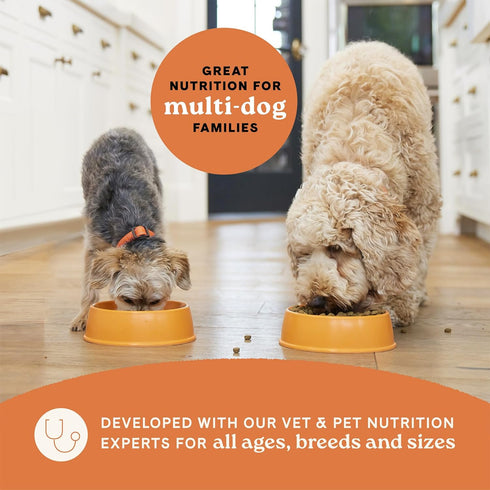 Canidae All Life Stages Multi-Protein Recipe with Chicken, Turkey, Lamb, and Fish – 5 lbs High Protein Dry Dog Food