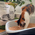 Hinoki Wood Cat Litter Recycled Ultra Lightweight, Fresh Natural Scent of Japanese Cypress, Clumping Dust Free