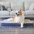 Orthopedic Dog Bed for Large Dogs - Big Waterproof Bed with Removable Washable Cover & Anti-Slip Bottom, Deluxe Plush