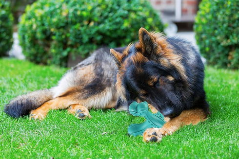 Dog Chew Toys for Aggressive Chewers, Indestructible Bones Toy, Durable Natural Rubber Cleaning Toothbrush Toys