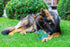 Dog Chew Toys for Aggressive Chewers, Indestructible Bones Toy, Durable Natural Rubber Cleaning Toothbrush Toys