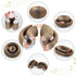 Organlada Cat Scratcher Cardboard with Bell-Ball, Foldable Slinky Scratch Pad, 1pcs