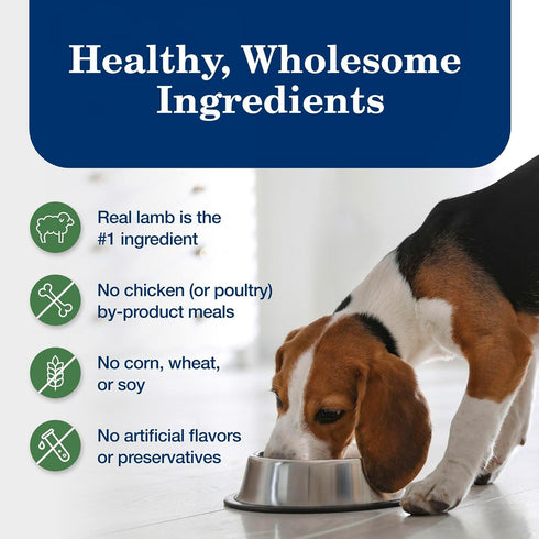 12.5 oz. 3 Count Blue Buffalo Homestyle Recipe Lamb Dinner with Garden Vegetables Wet Dog Food for Adult Dogs, Chicken