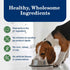 12.5 oz. 3 Count Blue Buffalo Homestyle Recipe Lamb Dinner with Garden Vegetables Wet Dog Food for Adult Dogs, Chicken