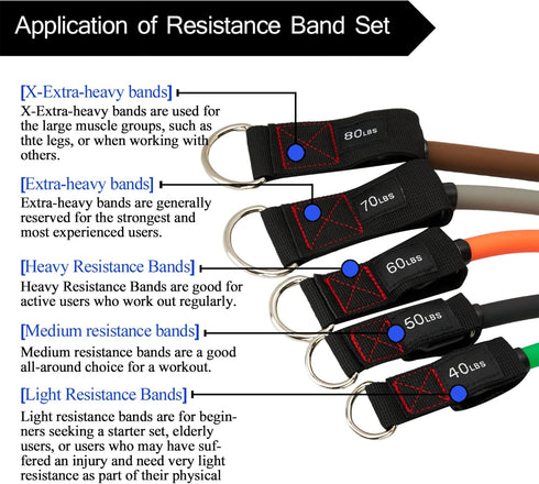 TheFitLife Exercise Resistance Bands with Handles - 5 Stackable Fitness Workout Bands up to 300 lbs