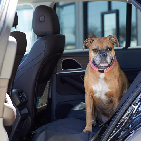 56 47 inch, Amazon Basics Waterproof Dog Car Seat Cover, Scratch Proof Protector for Pet, Car Back Bench, x Black