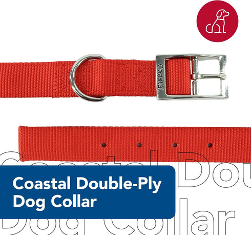 Coastal Pet - Double-Ply Dog Collar, 1" x 22", Bright Pink