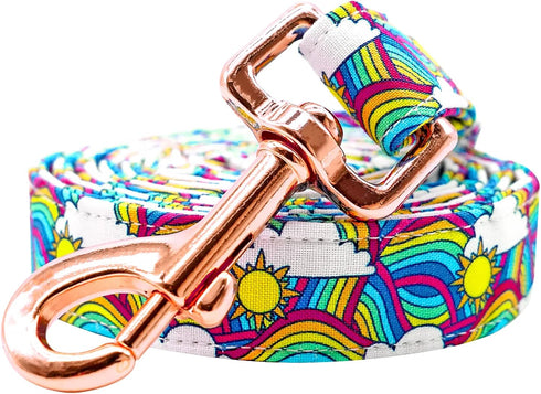 Lionheart Glory Rainbow Dog Leash, Durable Pride Leash with Soft Handle for Small, Medium, Large Dogs