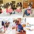 SILD Pet Denim Jumpsuit Dog Jeans, Cool Blue Coat for Medium Small Dogs, Classic Jacket
