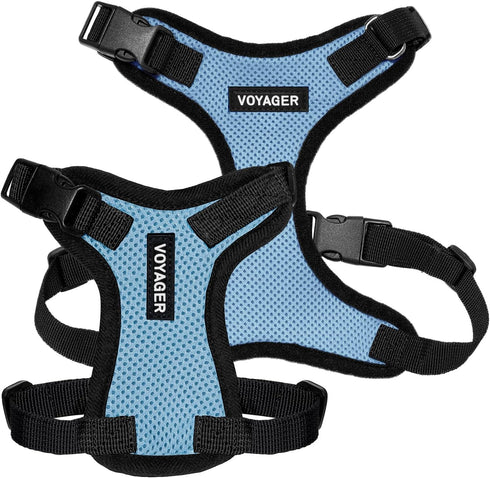 Voyager Step-in Lock Pet Harness - Baby Blue/Black Trim, M - All Weather Mesh, Adjustable Step in Harness for Cats and