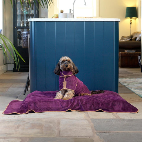 Lucky Pooch Dog Robe - Luxurious Dog Bathrobe - Ultra Absorbent Dries Your Dogs in Minutes! Double-Layer, Super Soft