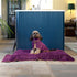 Lucky Pooch Dog Robe - Luxurious Dog Bathrobe - Ultra Absorbent Dries Your Dogs in Minutes! Double-Layer, Super Soft