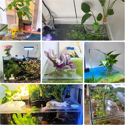 BEVINKATE Rimless 2 Aquarium Plant Holder for Fish Tank Pcs Corner Shelf for Fish Tank Top, Aquatic Plant Planter