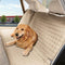 Elegant Comfort Premium Pet Car Seat Cover for Back Seat, Luxury Microfiber